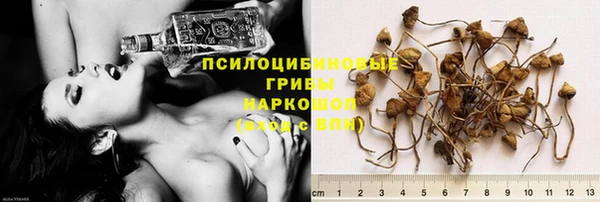 спайс Касимов
