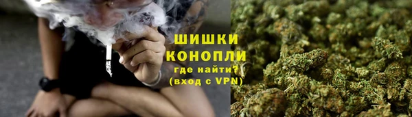 спайс Касимов