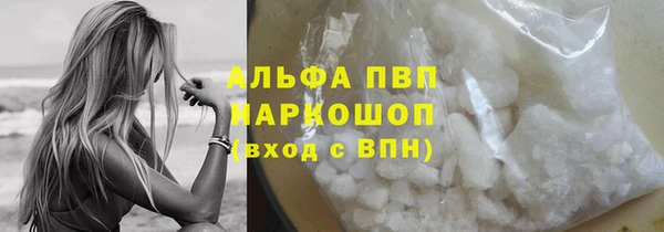 спайс Касимов