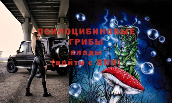 спайс Касимов