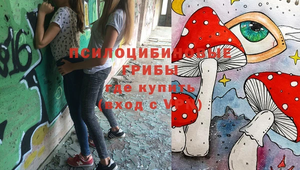 мдма Карпинск