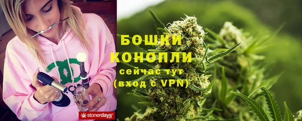 спайс Касимов