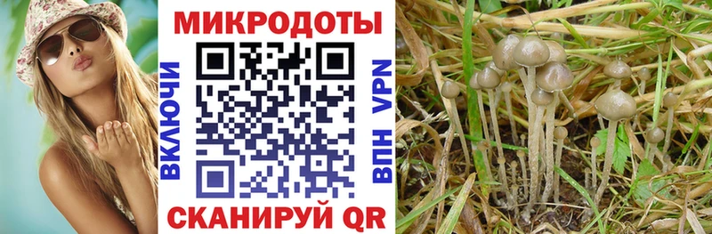 Купить  Бирск  Галлюциногенные грибы GOLDEN TEACHER 